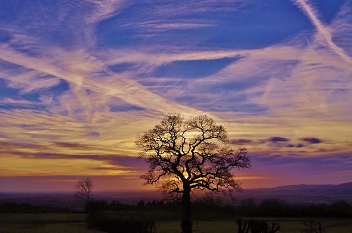 sunrise haughmond hill shropshire sky clouds light colour tree silhouette hills field lines trails