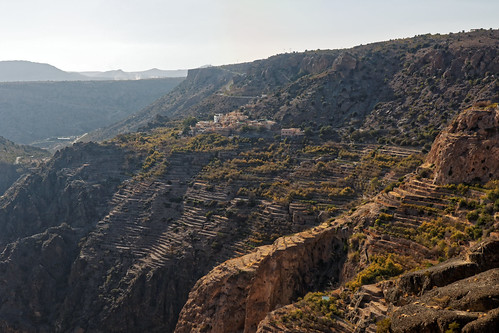 oman sayq mountain terrace agriculture landscape viewpoint