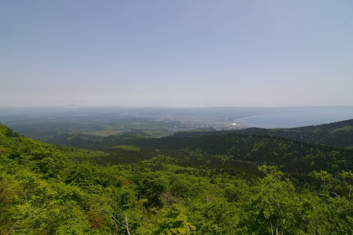 sea japan forest geotagged raw view aomori mutsu da1224mm geo:lat=41297074 geo:lon=141113967