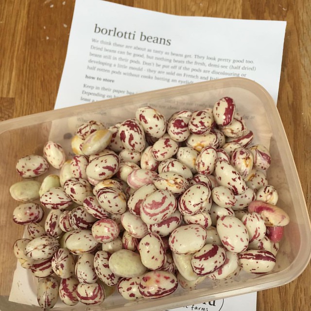 Borlotti beans for dinner tonight - when they will look a lot less pretty than this 😕