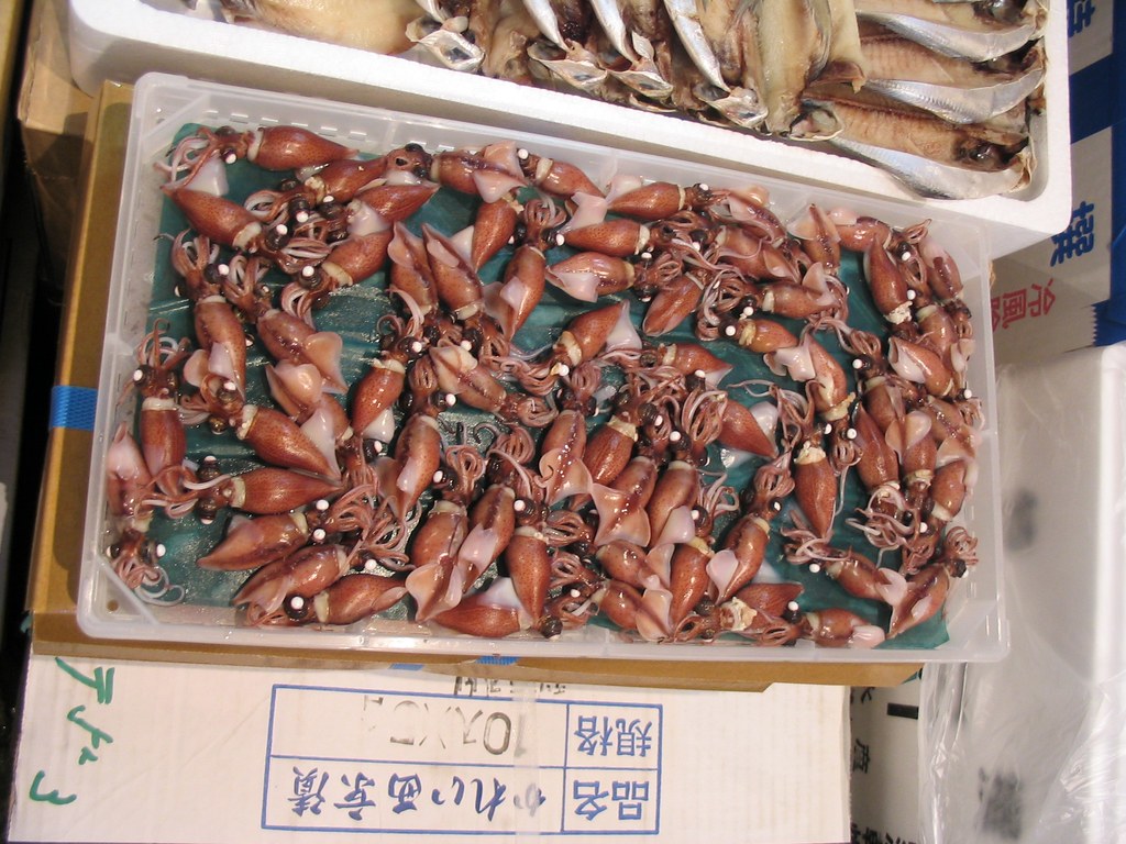 Probably ほたる (firefly) squid.