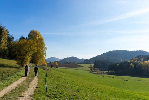 austria oberösterreich at weitersfelden naturfreunde