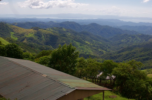 the road to Monteverde