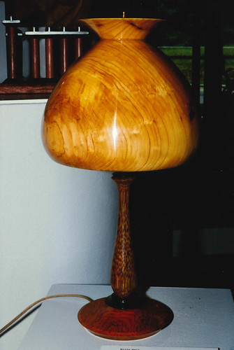 wood 1996 exhibition woodturning billyhall turnedaskew