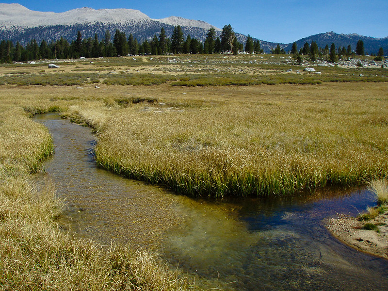 Photo of Golden Trout Creek