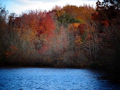 Wantagh - Twin Lakes Preserve - Autumn (48)