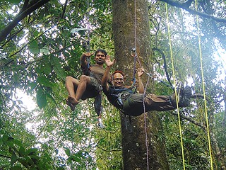 Canopy climbing