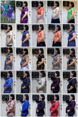 Second Trimester Collage