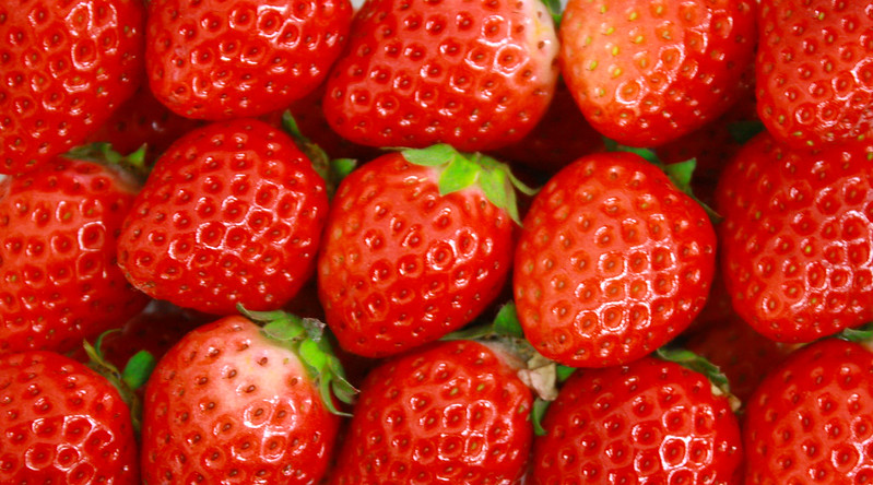 Strawberry(Sagahonoka)