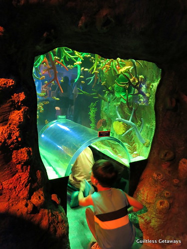 busan-aquarium.jpg