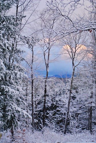 northblenheim newyork upstatenewyork mountains catskillmountains catskills snow trees outdoors nikon nikond3000 landscape