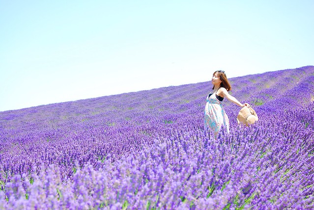 150711 Ivy & Provence lavender