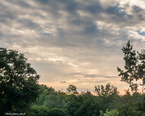 trees sc nature clouds sunrise dawn unitedstates southcarolina