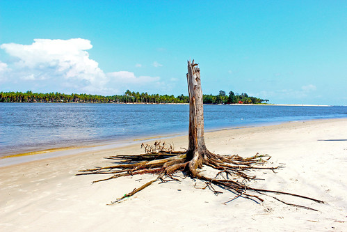 beach sun sunrise assinie travel ivory coast pool plage coconut tree parasol piscine blue relaxe côte divoire levé soleil