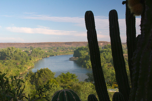 cactus rio river sinaloa elfuerte pitahayo