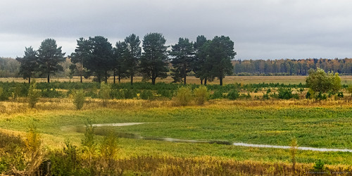 russia осень панорама природа пейзаж открытки tavda