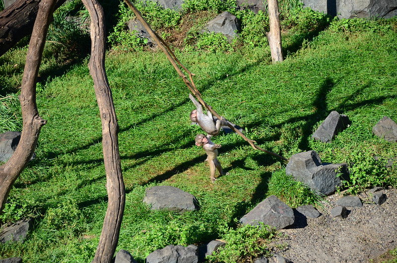 DSC_6179.jpg