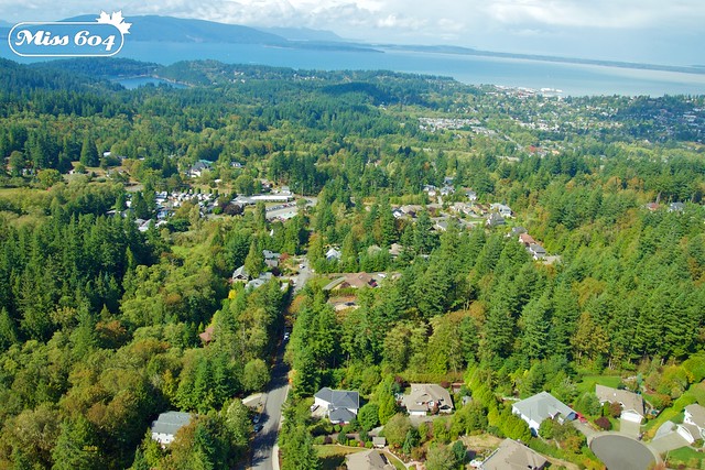 Helicopter Tour of Bellingham