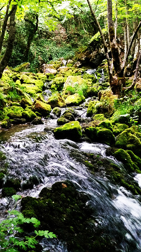 lake green water spring serbia srbija vrelo servia grza paracin vrelogrze