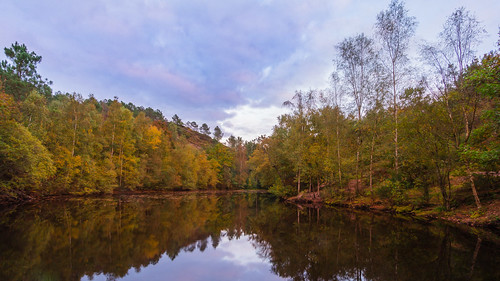 autumn trees sunset cloud lake france reflection water automne mirror lac reflet arbres miroir nuage coucherdesoleil