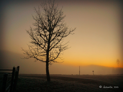 morning winter misty sunrise outside december nebel outdoor kärnten carinthia wintertime dezember sonnenaufgang morgen pisweg daham drausen