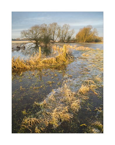 jaketurner jrturnerphotography canon canon5dmarkiii canon5d3 canon5d canon24105mmf4lis 24105mm leefilters leegradfilters gradfilters picture print image photo photography photograph photographer landscape landscapephotography fence fencing countryside britishcountryside frost ice frozen winter sunrise dawn sunlight goldenhour january cricklade northmeadow wiltshire southwest westcountry england uk unitedkingdom gb greatbritain britain british europe eu flood floods river riverthames reeds grass trees