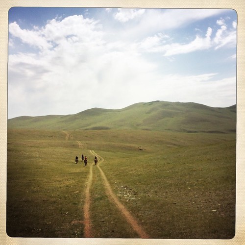freedom ride mongolia horseback stepperiders