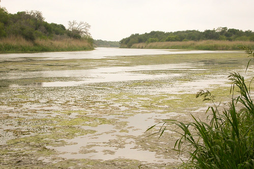 river landscape rivière paysage texas2004