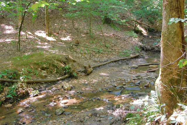 We cross mountain streams like this one at Fairy Stone State Park, Virginia