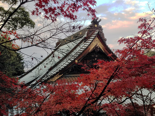 Autumn at Miyajima (iPhone 5)