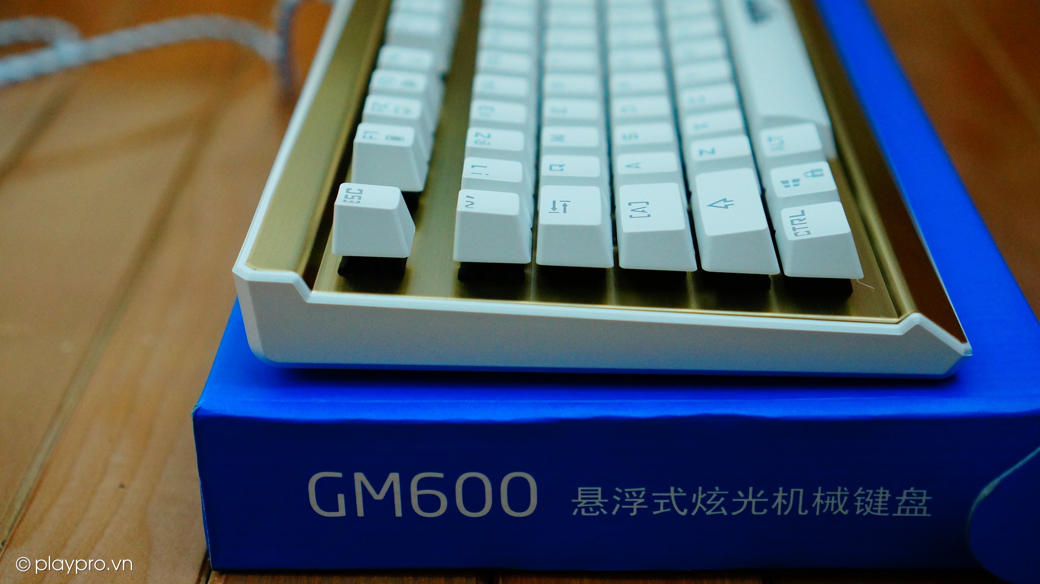 bàn phím cơ Newmen GM600