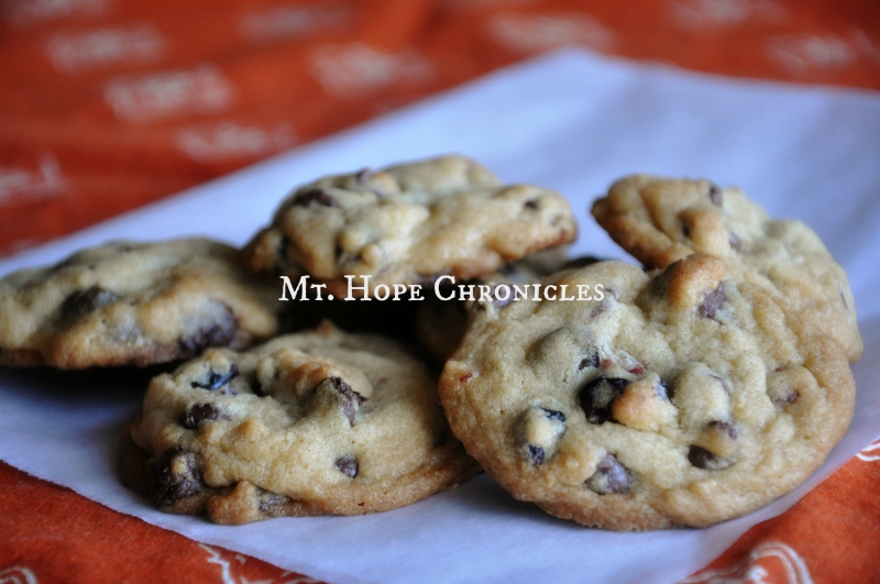 Cookies @ Mt. Hope Chronicles