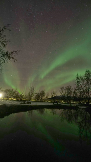 northern lights reflected in a pond