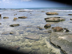 Point-of-Rocks, Sarasota, FL (060729_por1)