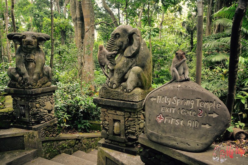 monkey-forest-ubud