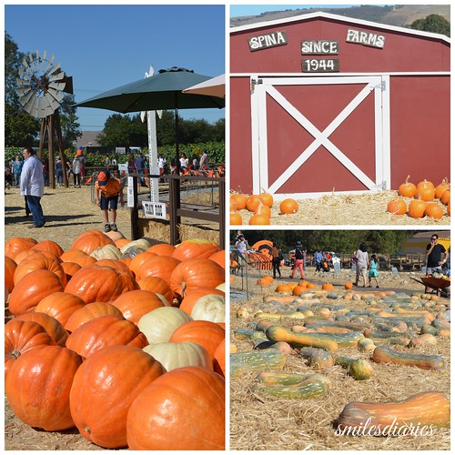 Spina Farms Pumpkin Patch Prices