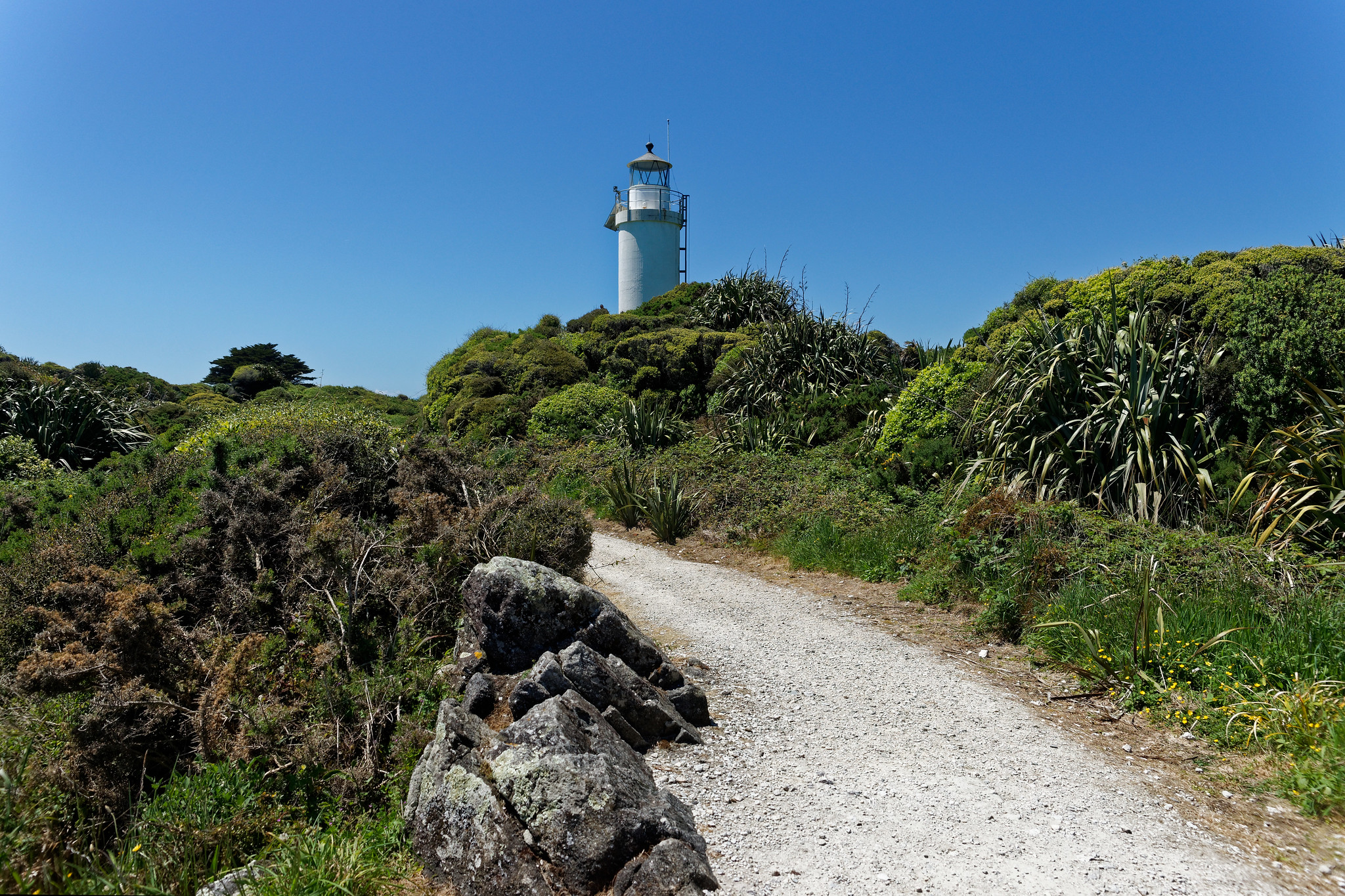 Lighthouse At Cape Foulwind
