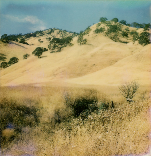 film grass woodland sx70 oak hill pasture instant theimpossibleproject colorgen2