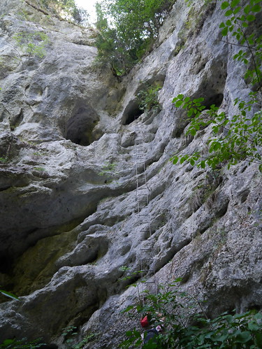 wall austria österreich rocks cave ladder niederösterreich autriche höhle leiter felsen loweraustria felswand kreuth furth steinwandklamm rudolfdeckersteig wanderung20150810 wildschützenloch poachershole