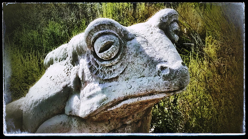 park eye texture animal statue stone frog smartphone missouri toad stcharles app snapseed