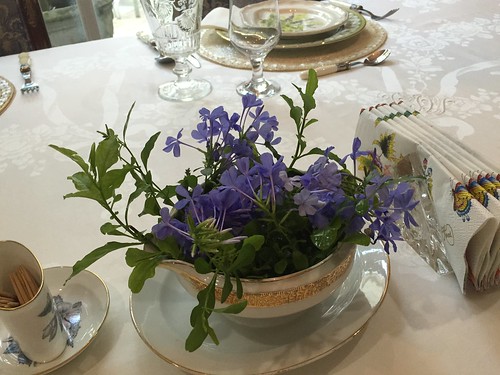 violet flowers from the garden,  Epza dinner