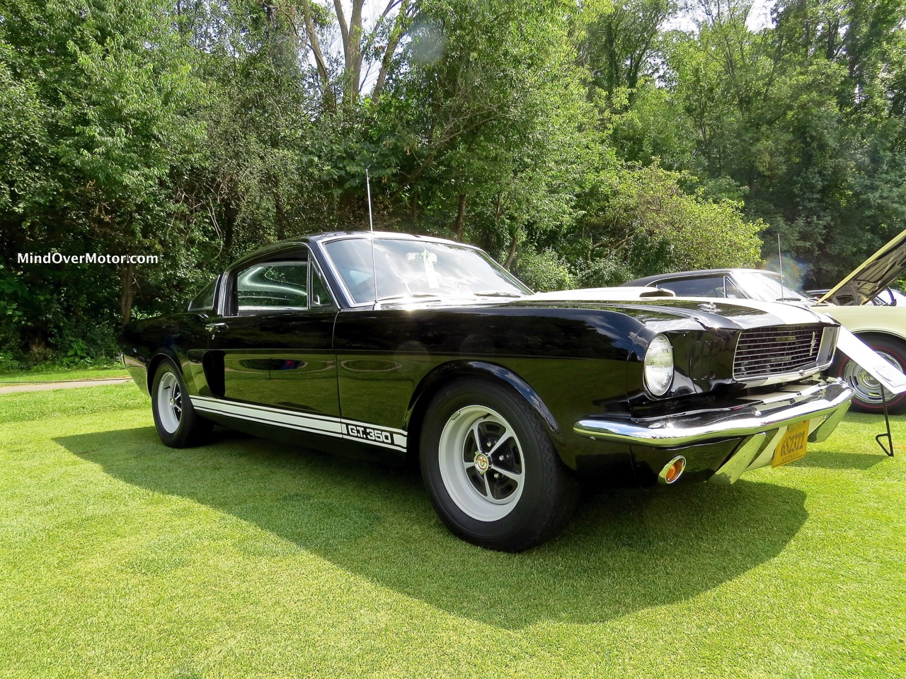 1966 Shelby GT350 Front