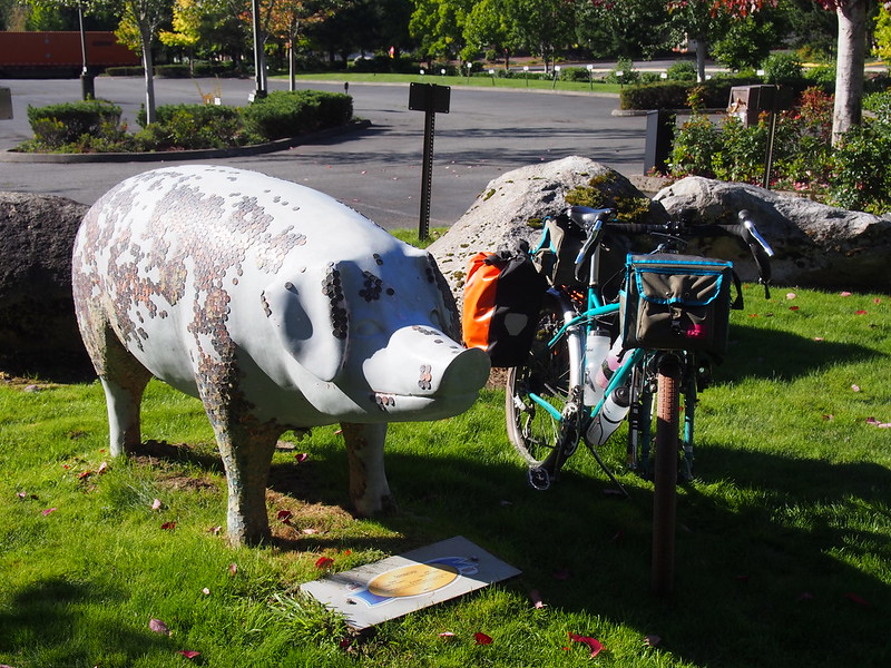 Centennial Swine: Straight from Pike Place Market…somehow in Preston.