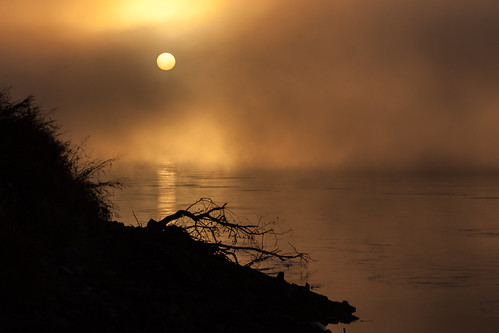 morning autumn sun english fog sunrise river dawn mo landing driftwood missouri parkville