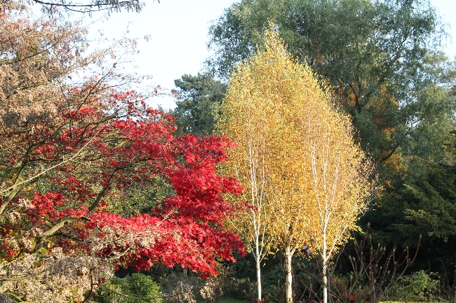 autumn colours via lovebirds vintage