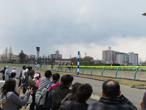 福島競馬場の内馬場から見たレース