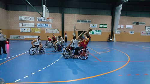 Baloncesto en Silla de Ruedas Vistazul División de Honor