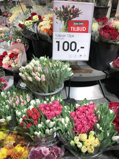 Nestranda Mall,  tulips