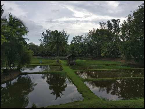Templos y naturaleza en Siem Reap y costa oeste de Malasia - Blogs de Asia Sudeste - Langkawi: SkyCab, playas y manglares (70)