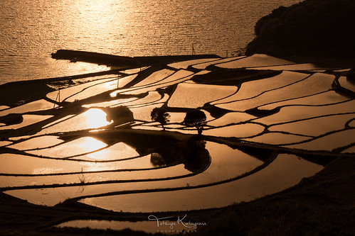 landscape sunset sea water paddyfield nature light japan nagasaki matsuura reflection
